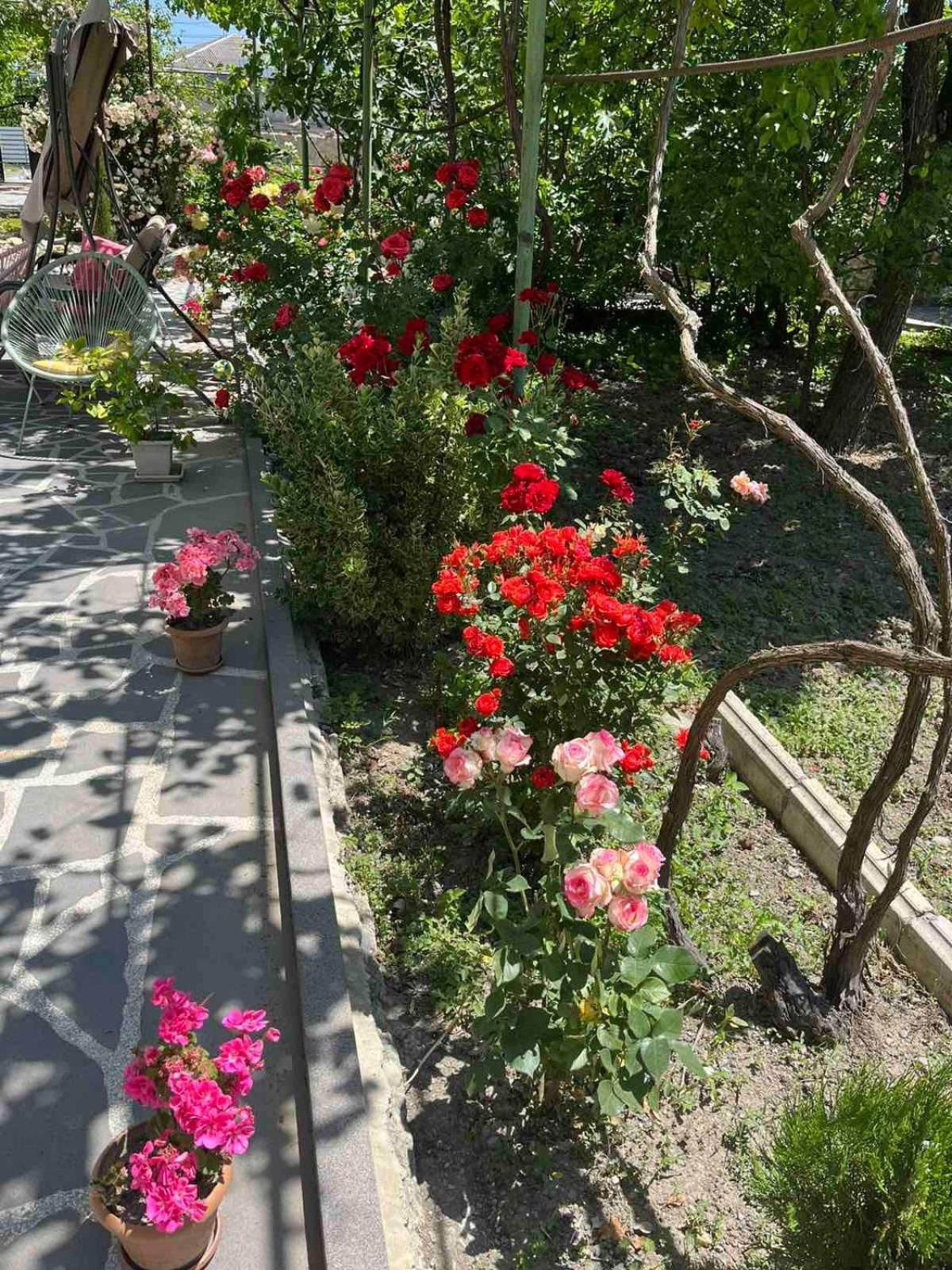 Ekas Rosengarten Gori Exterior foto